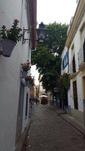 Calles