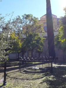 Patio de los Naranjos