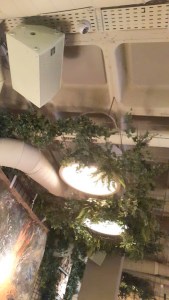 Detalles decoración