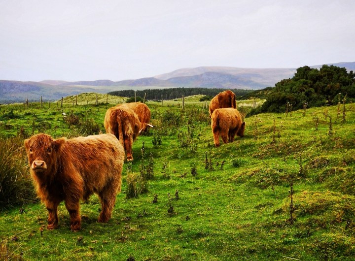 Screenshot_20180926_091156